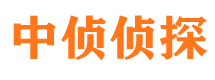 新县调查事务所